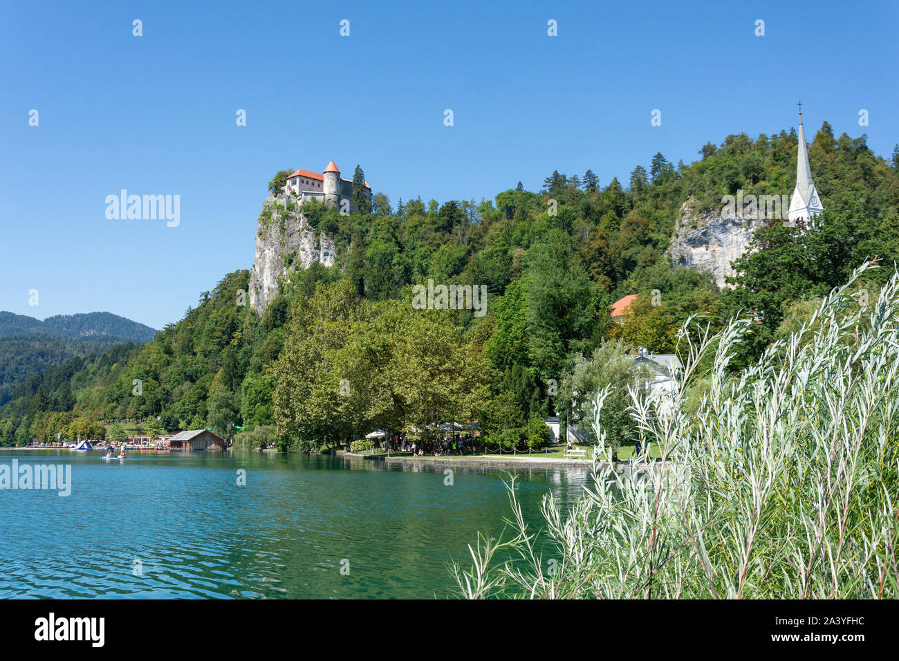 Vue de la rive et le château de Bled, le lac de Bled, Bled, Slovénie, la région de la Haute-Carniole Banque D'Images