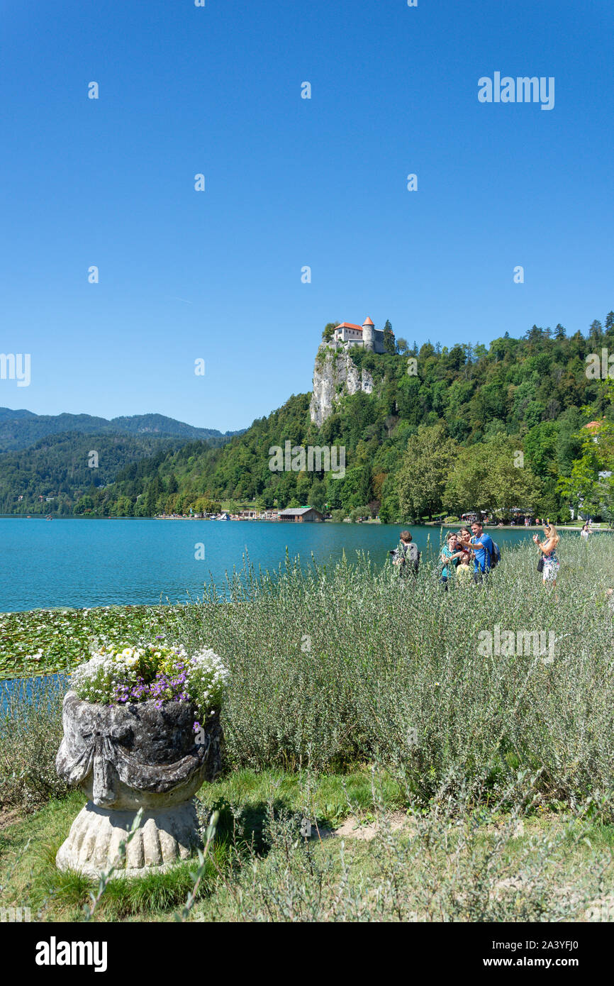 Vue de la rive et le château de Bled, le lac de Bled, Bled, Slovénie, la région de la Haute-Carniole Banque D'Images