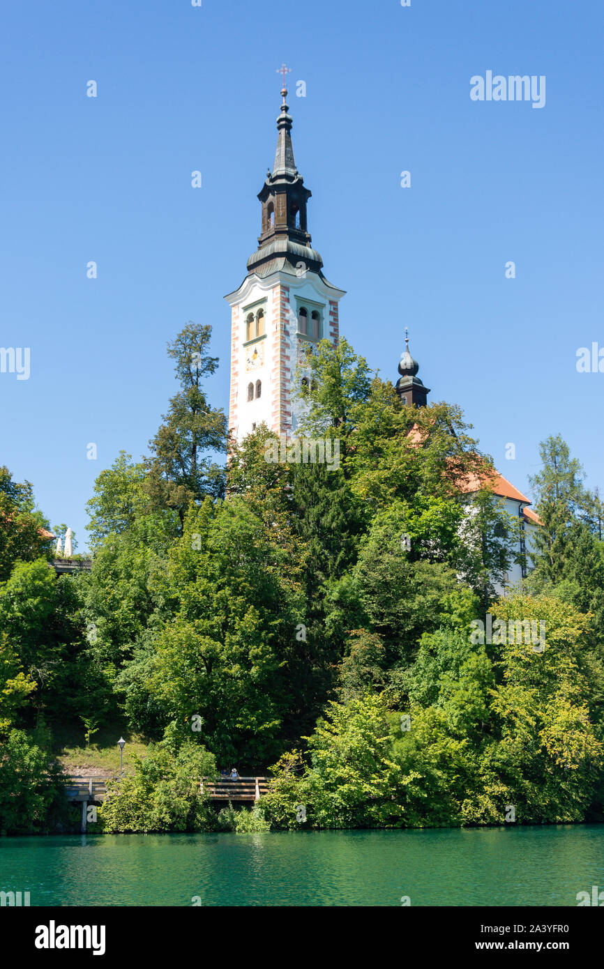 L'Assomption de Marie, l'église de l'île de Bled, le lac de Bled, Bled, Slovénie, la région de la Haute-Carniole Banque D'Images
