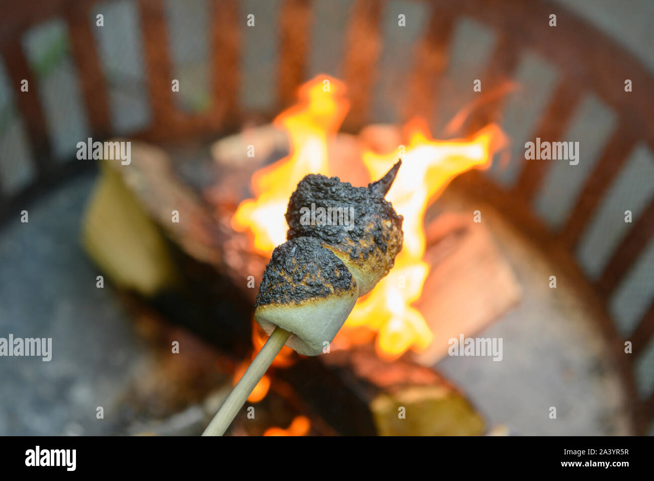 Marshmallow grillés étant plus brazier Banque D'Images Marshmallow grillés étant plus brazier Banque D'Images