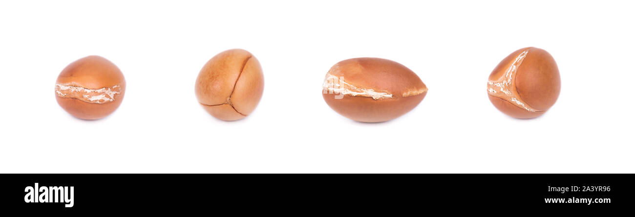 Graines d'Argan, isolé sur un fond blanc. Les noix et l'huile d'Argan cosmétique, et de produits de beauté. Fruit naturel du Maroc. Banque D'Images