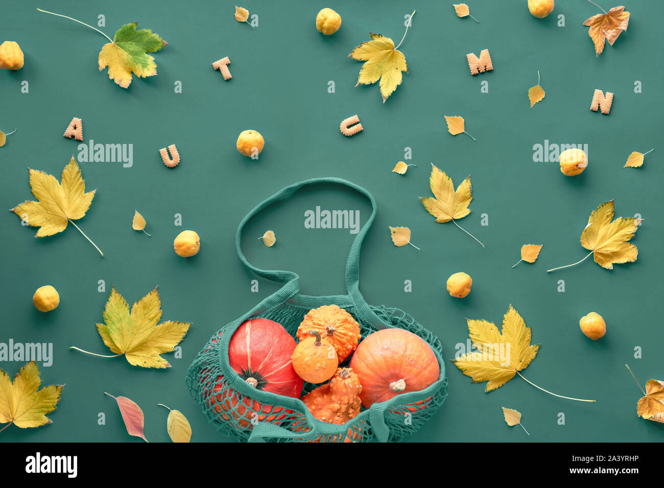 Mise à plat d'automne sur fond vert sombre. Citrouilles Orange, les pommes et les coings en bleu sac-filet ou sac de chaîne et jaune feuilles d'érable. Bonjour l'automne ! Banque D'Images
