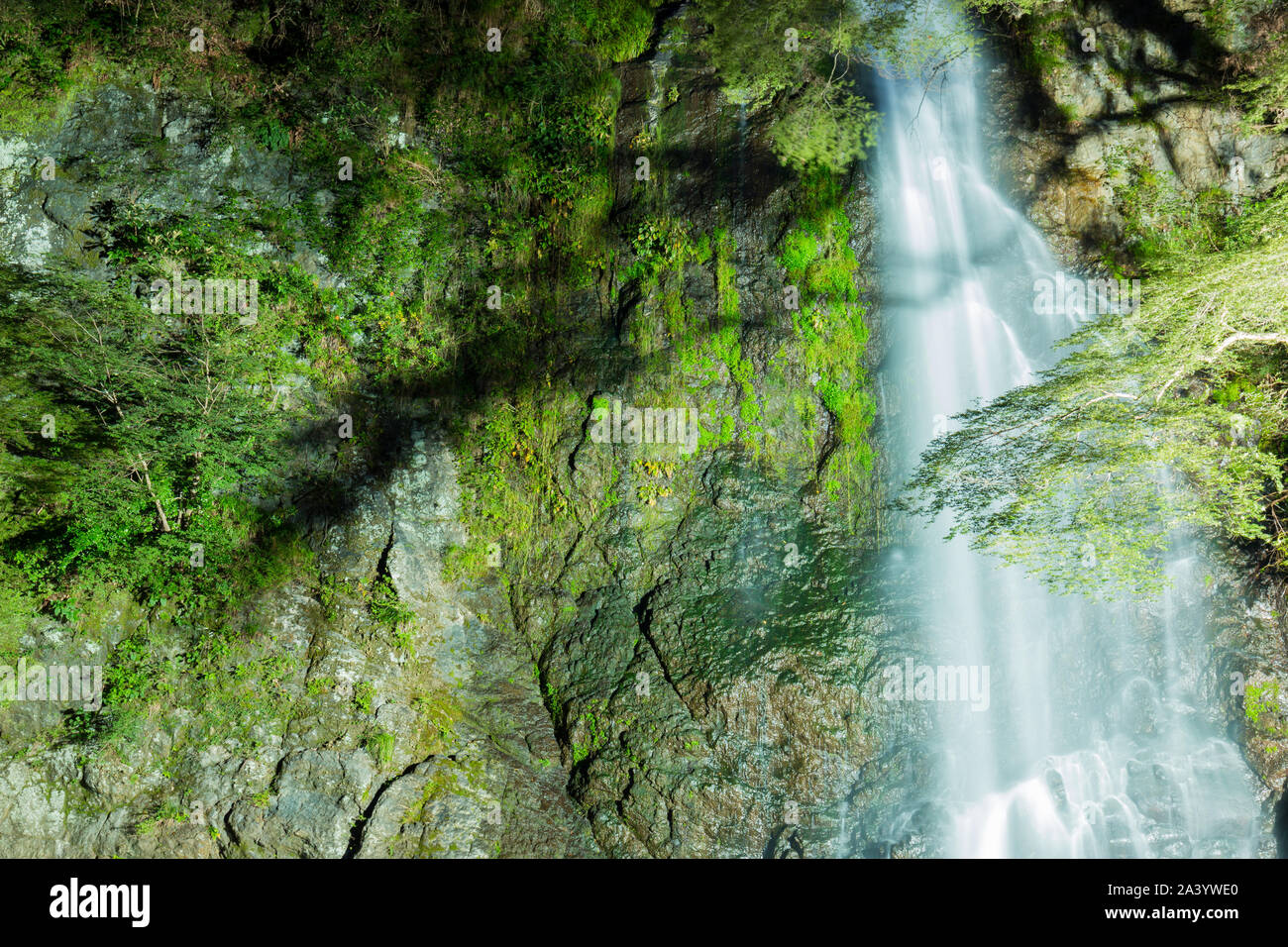 Belle cascade Minoh avec lumière jusqu'en été. Banque D'Images