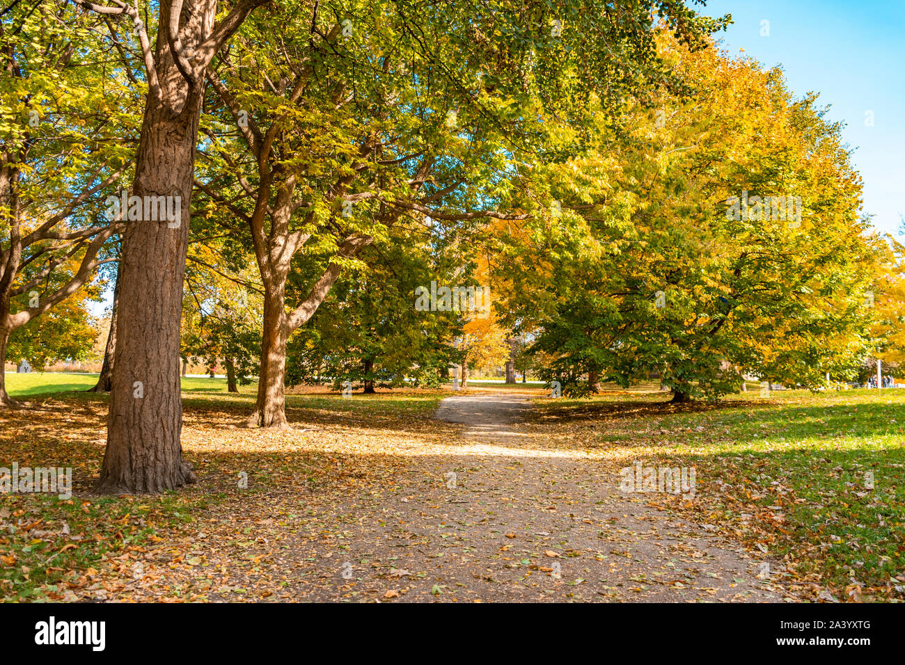 Chemin dans Lincoln Park Chicago pendant l'automne Banque D'Images