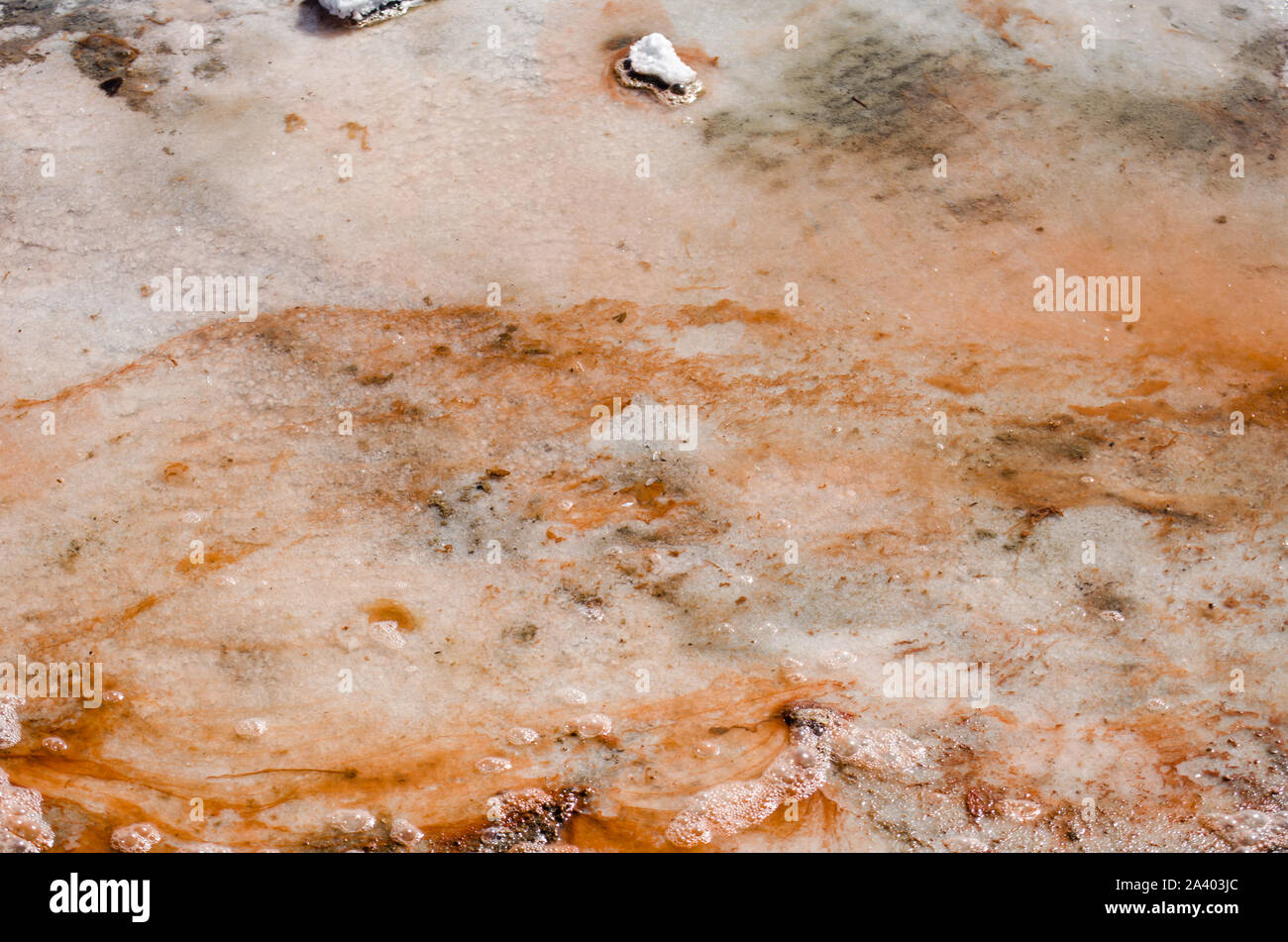 Mer Rouge de Galerazamba, où une espèce d'algues transforme le lacs de sel rose Banque D'Images