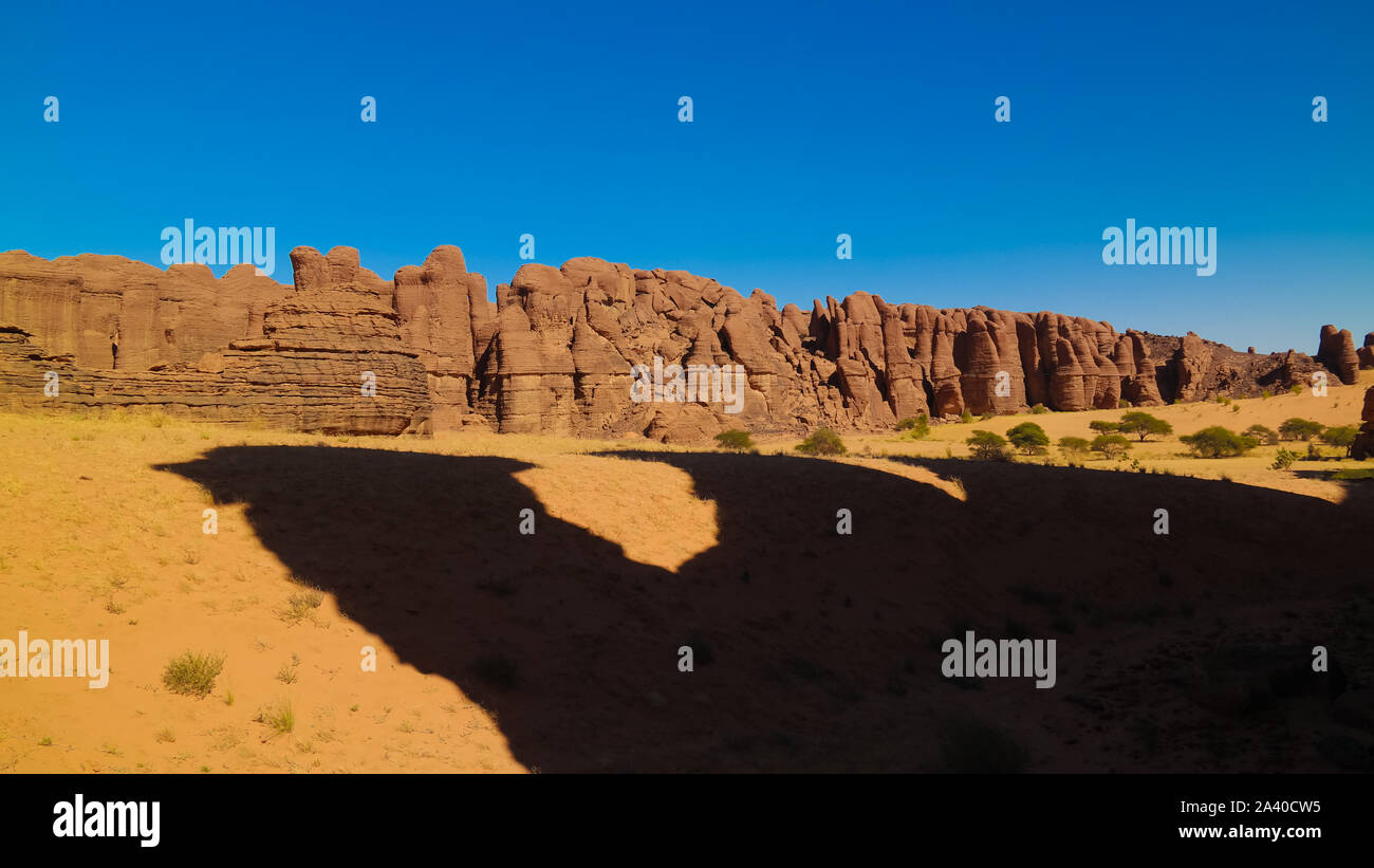 Résumé Rock formation sur le plateau l'Ennedi aka stone forest , Tchad Banque D'Images