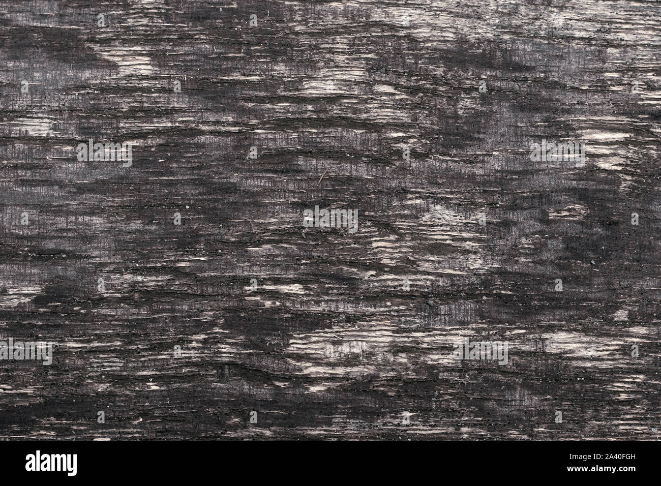 Surface en bois sombre. Grunge modèle mur de bois. Scieries de sol sale. Arrière-plan de la nature. Contreplaqué filmé noir, bord de la texture. Banque D'Images