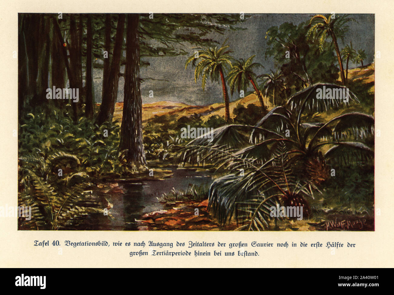 La végétation dans la première moitié du Néogène (Fin de l'ère tertiaire). Impression couleur après une illustration par Hugo Wilhelm Bolsche Wolff-Maage à partir de la Das Leben der Urwelt, vie préhistorique, Georg Dollheimer, Leipzig, 1932. Banque D'Images