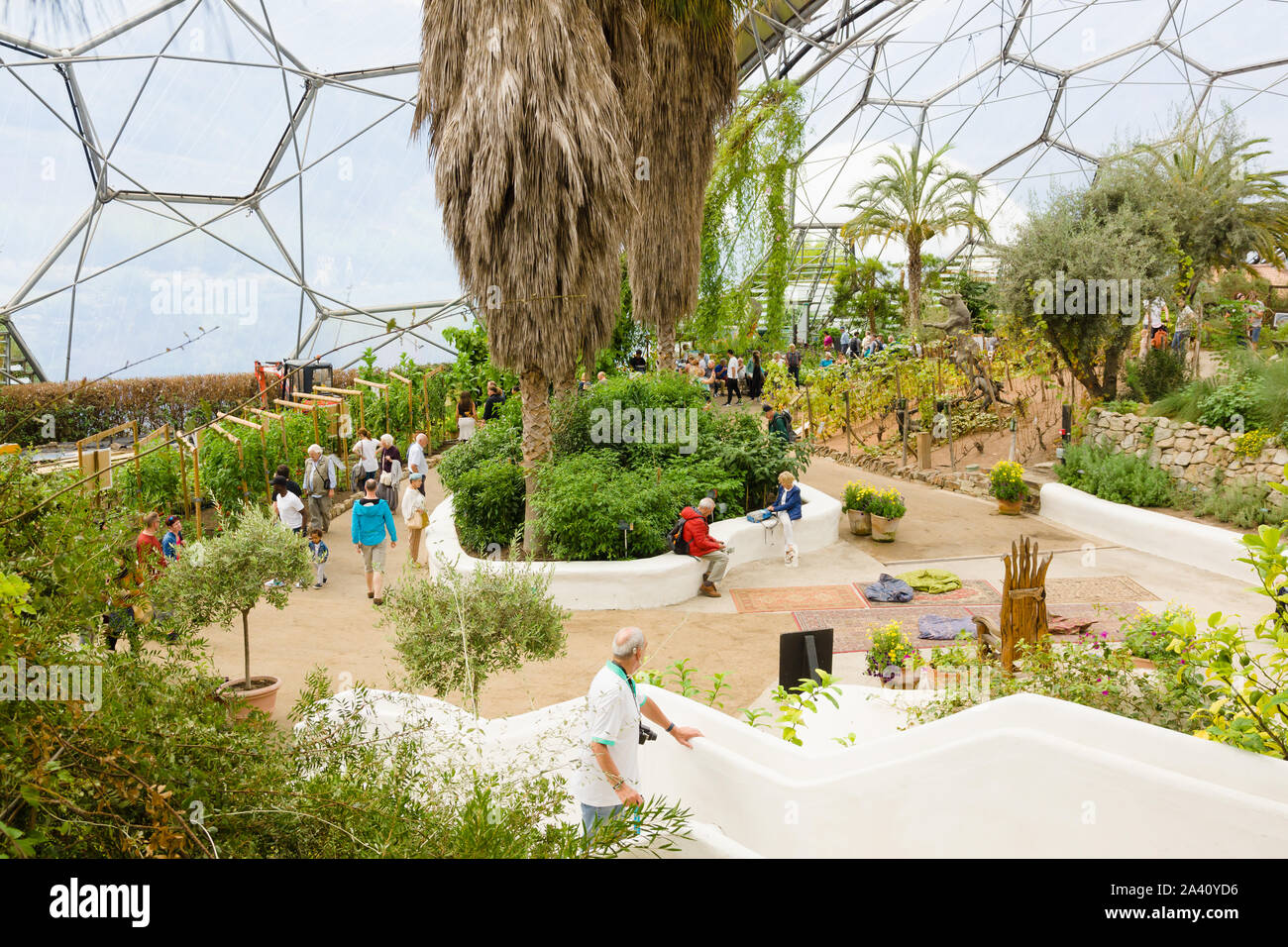 L'Eden Project biome méditerranéen une attraction touristique populaire construit dans une ancienne carrière avec des jardins tropicaux situé dans les dômes géants Banque D'Images
