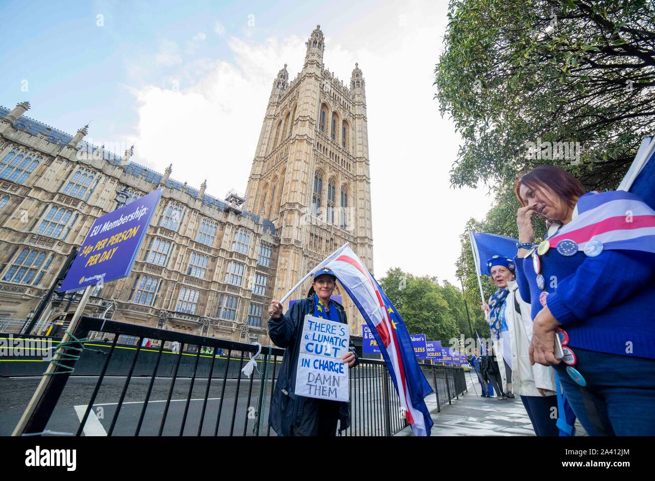 Anti-Brexit partisans devant les Maisons du Parlement. Banque D'Images