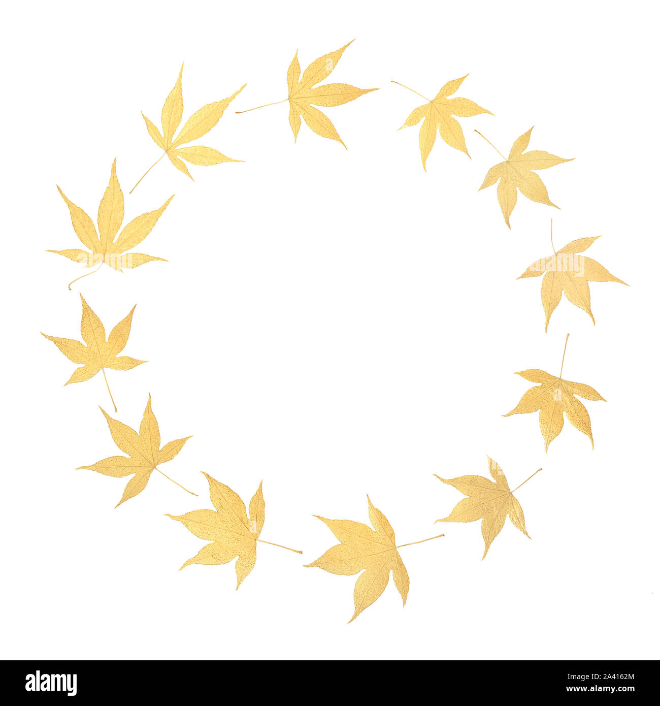 Couronne de feuilles acer japonais d'or sur fond blanc avec l'exemplaire de l'espace. Symbole minimaliste Zen. Banque D'Images