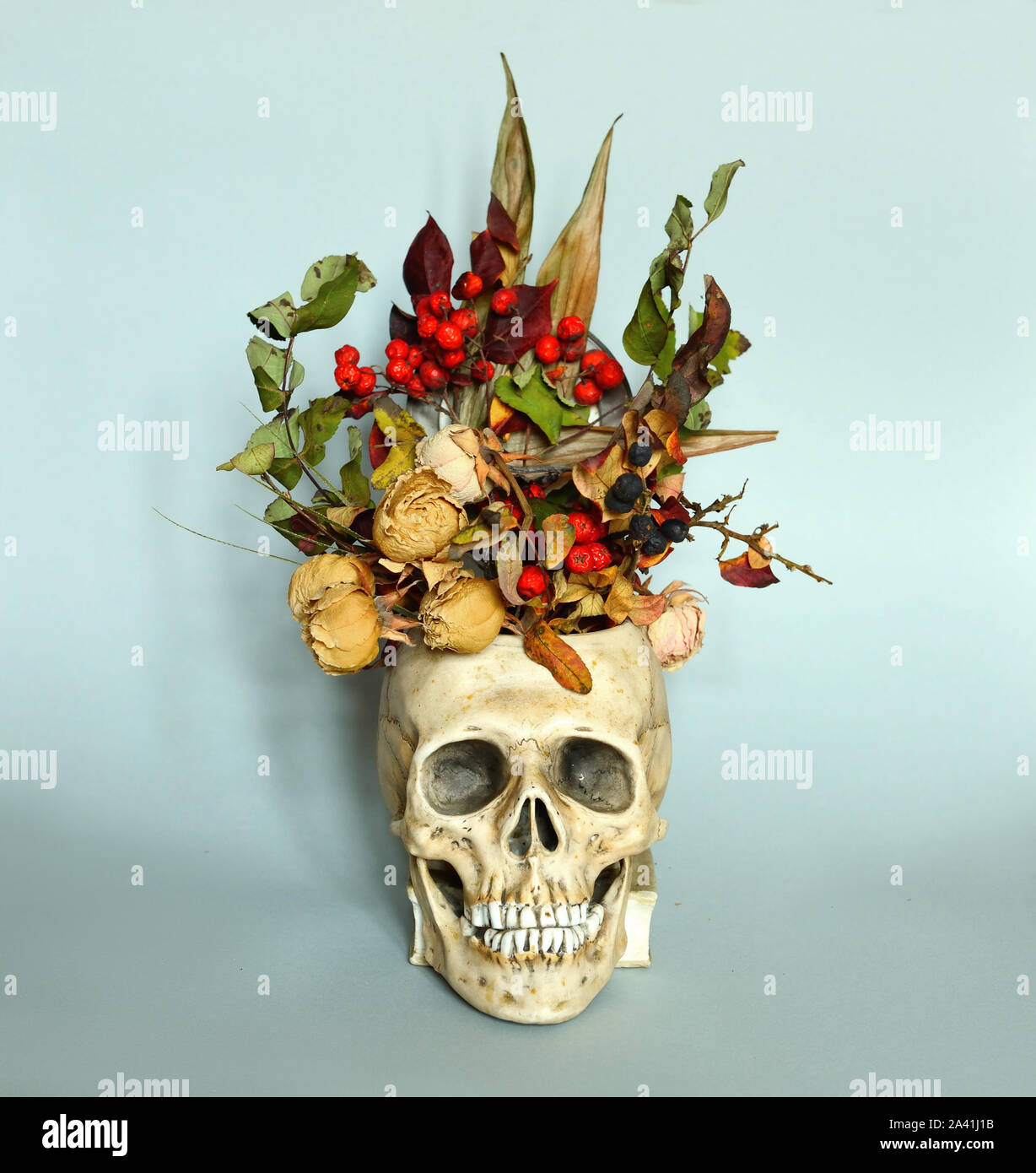 Crâne avec des fleurs sèches. Fond d'horreur Halloween Banque D'Images