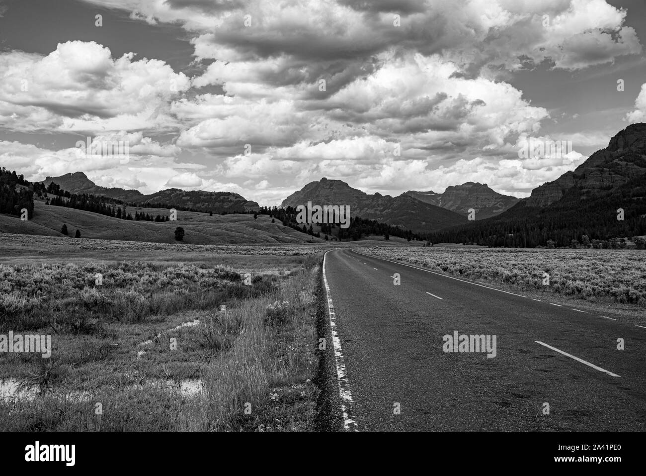 La vallée des plaines à Lamar dans Yellowstone Banque D'Images