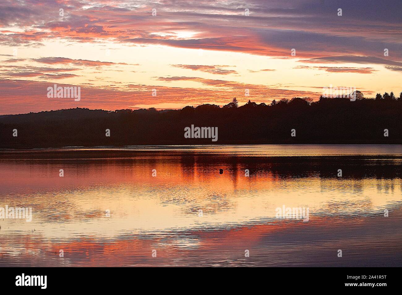Etang de Moulin Neuf, Cotes d'Amore, Bretagne, France Banque D'Images