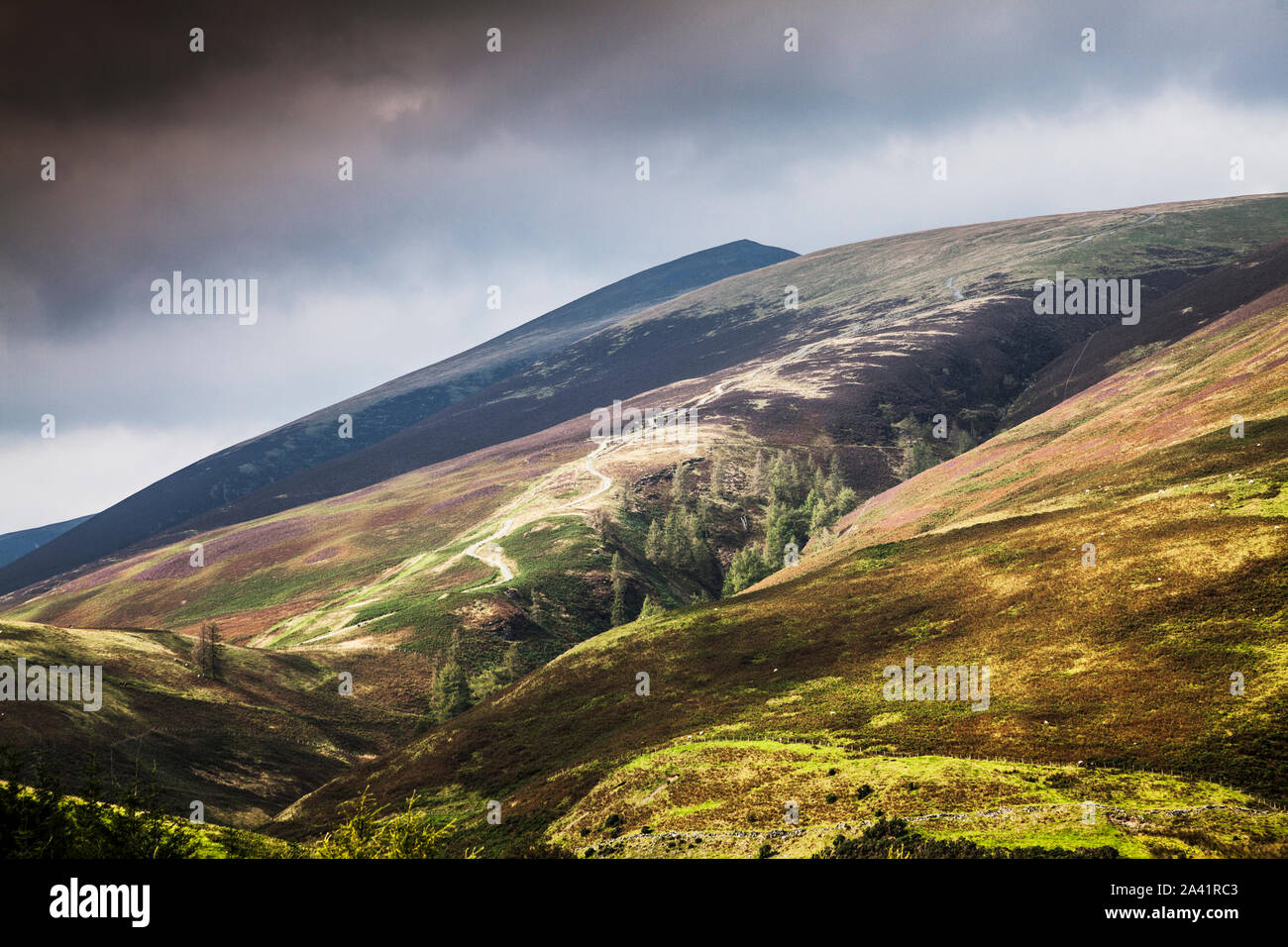 Vue sur Skiddaw petit homme dans le Lake District, Cumbria. Banque D'Images