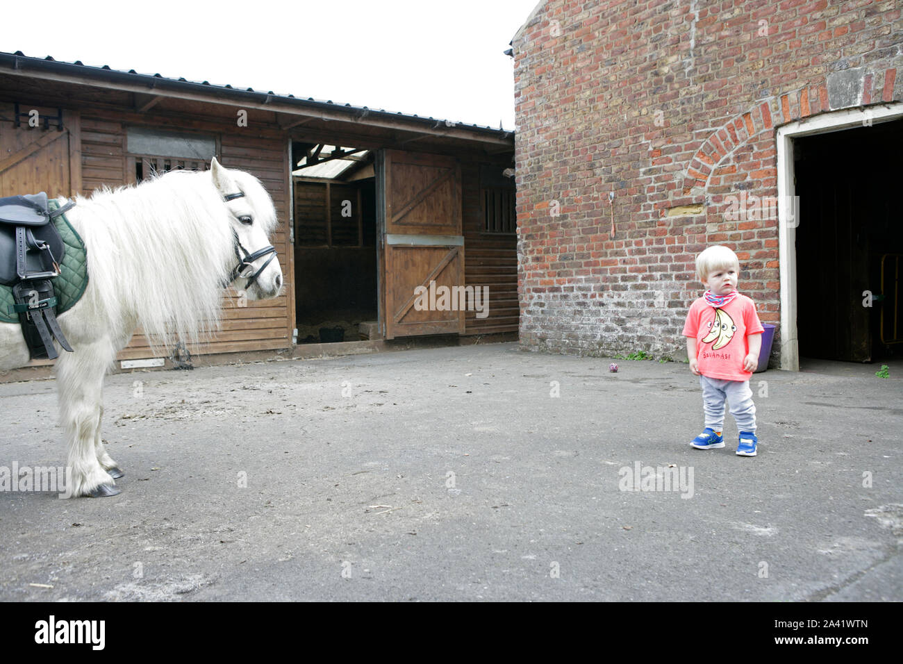 Jeune Homme Enfant Bebe Blanc Avec Poney Shetland Sur Cour Stable Photo Stock Alamy