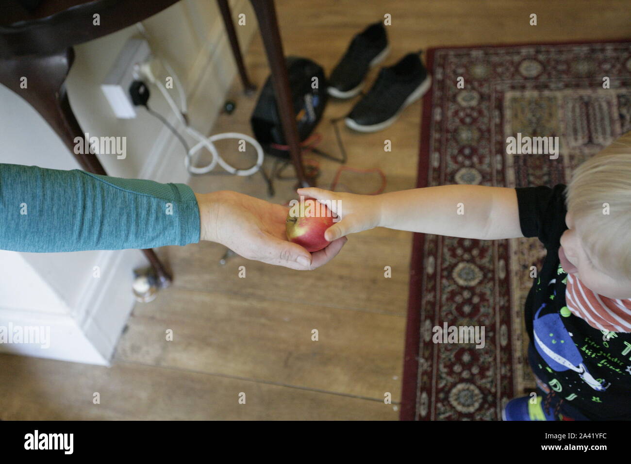 Jeune homme tout-petit enfant qui a Apple dans mains d'Adultes Banque D'Images