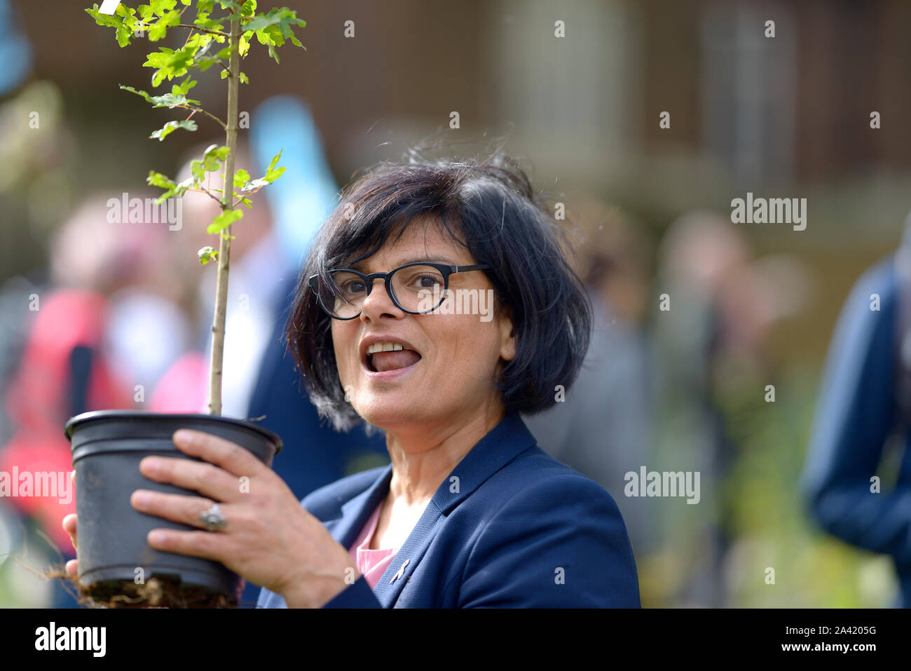 Thangam Debbonaire MP (Lab : Bristol West) acceptant un arbre à Westminster dans le cadre d'une rébellion d'extinction, l'affectation de campagne un arbre pour chaque MP je Banque D'Images