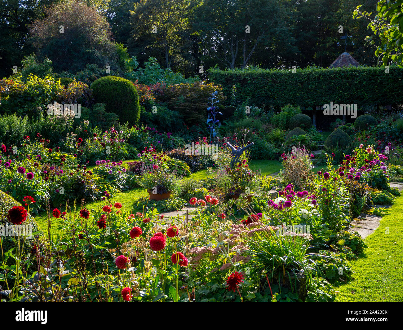 Chenies Manor jardin en contrebas sur un après-midi de septembre.Faible du soleil améliore les couleurs des variétés de dahlia lumineux et pelouse verte. Banque D'Images
