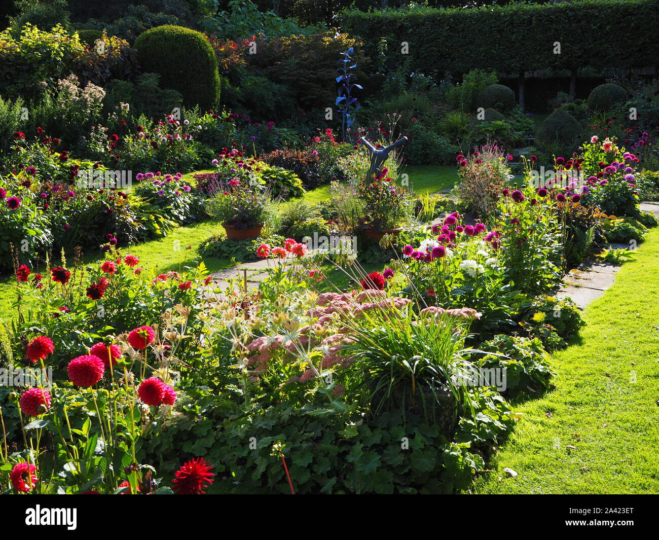 Chenies Manor jardin en contrebas sur un après-midi de septembre.Faible du soleil améliore les couleurs des variétés de dahlia lumineux et pelouse verte. Banque D'Images