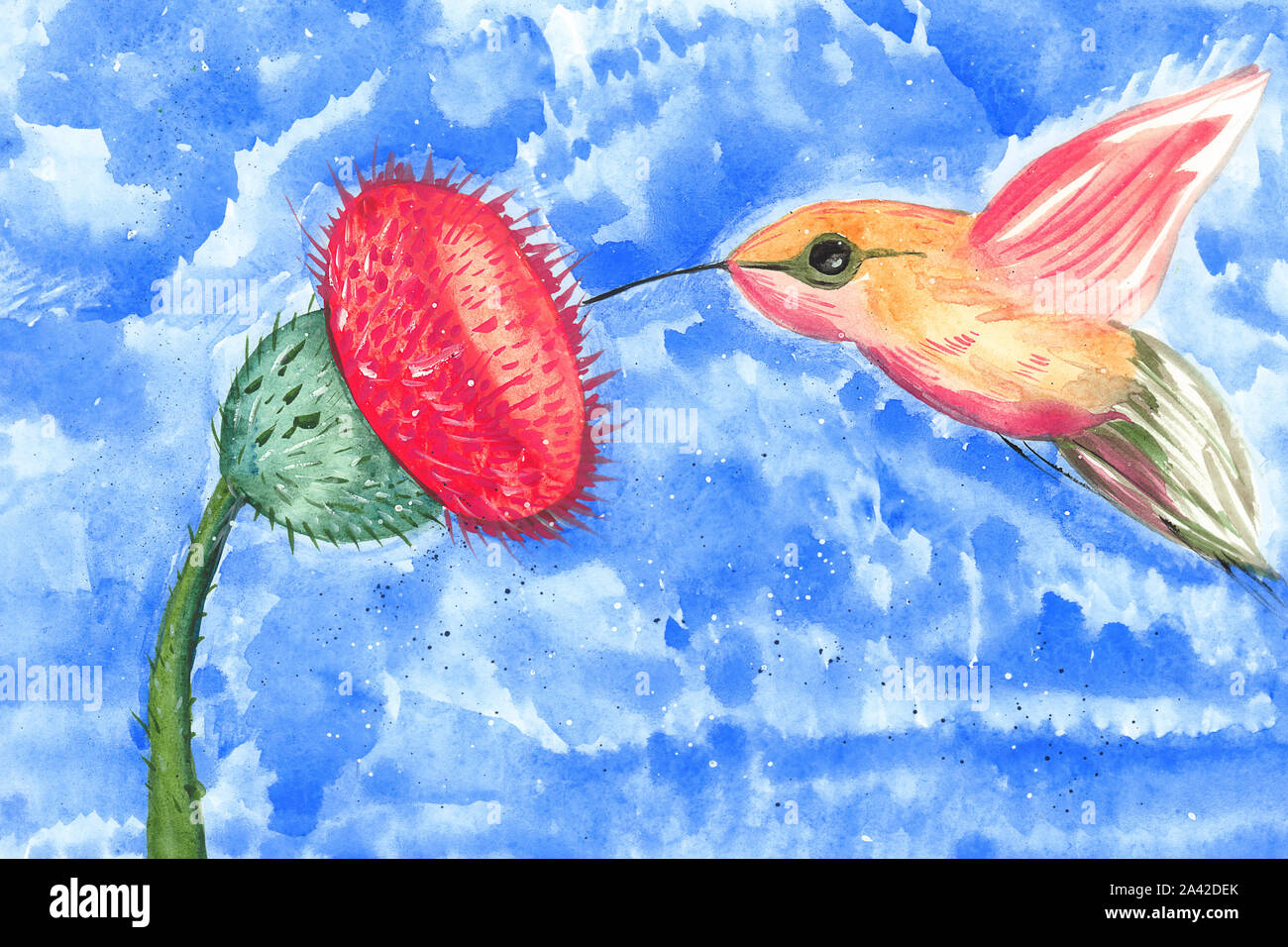 Illustration d'un dessin couleur d'une aquarelle de manger le pollen d'un colibri fleur sur un fond isolé blanc Banque D'Images