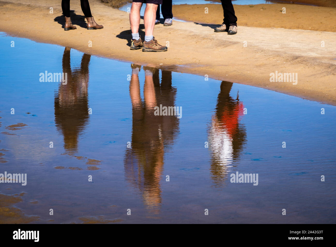 Un groupe de personnes reflètent dans une piscine sur une plage. Banque D'Images