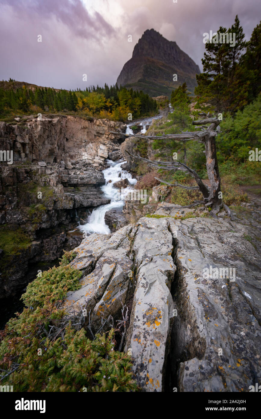 Des formations de roche brisée et la végétation de Swiftcurrent Falls avec les montagnes en arrière-plan au lever du soleil, au Montana. Banque D'Images