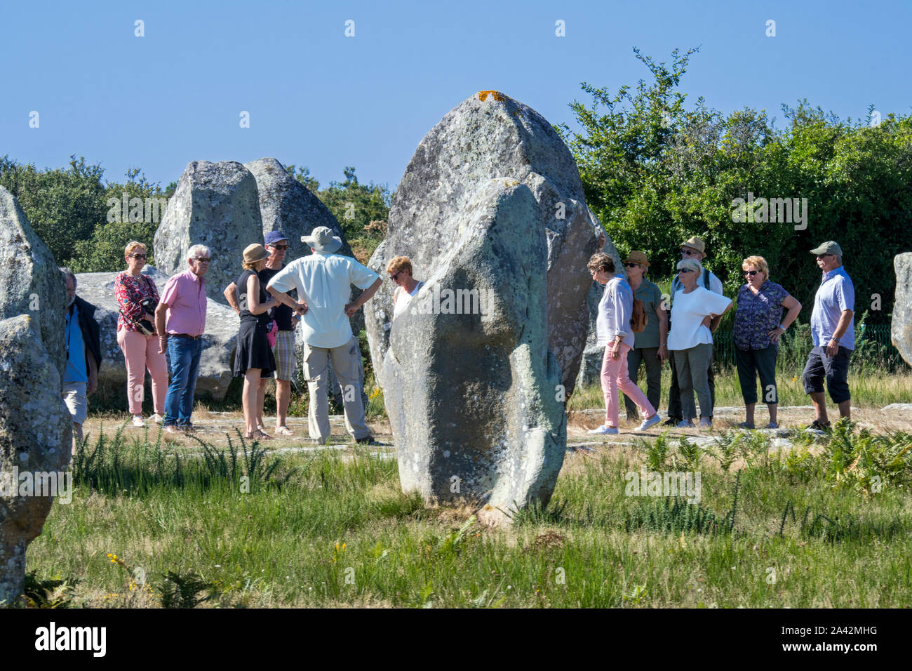 Guide avec personnes âgées touristes marcher parmi les alignements de Ménec, site mégalithique entre les menhirs de Carnac, Morbihan, Bretagne, France Banque D'Images