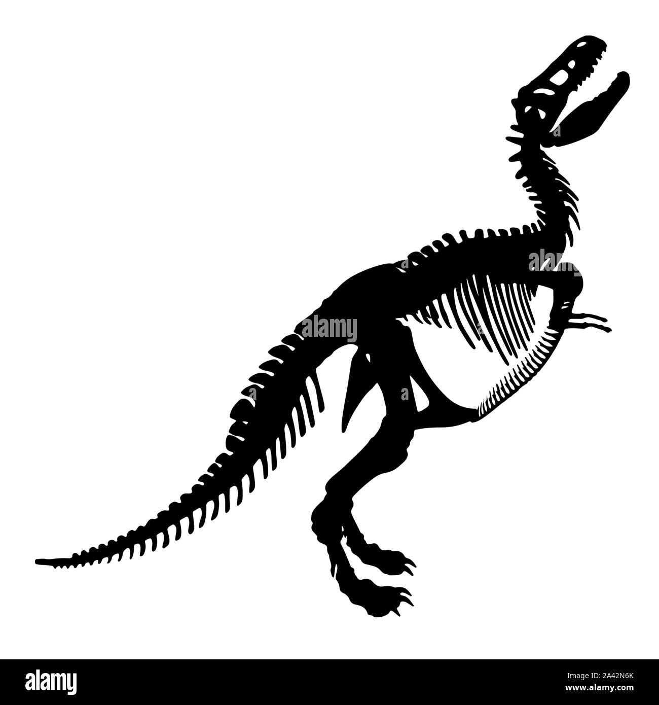 Silhouette noire d'un squelette de tyrannosaure rex sur fond blanc. Illustration de Vecteur