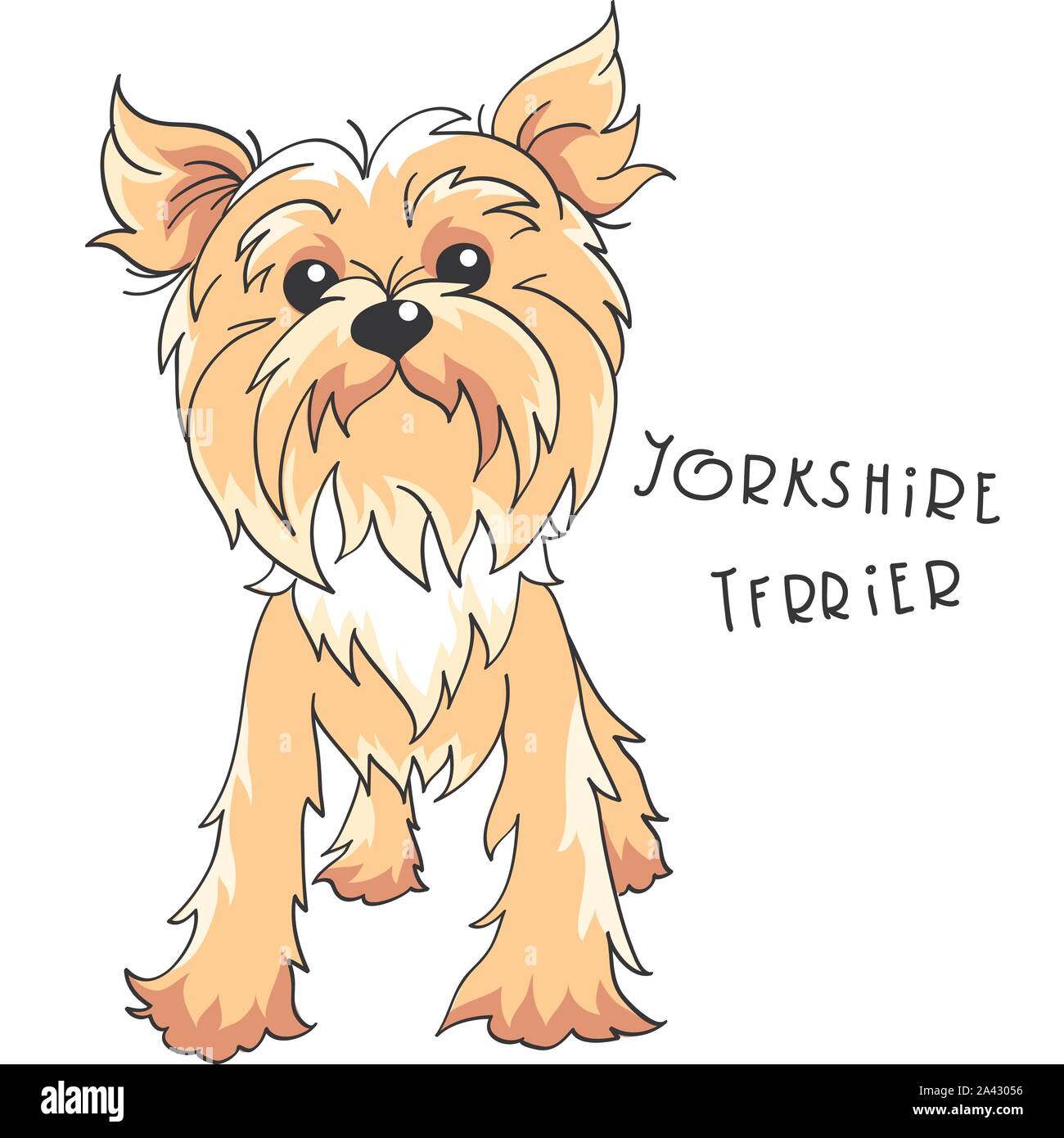 Chien yorkshire terrier vecteur Illustration de Vecteur