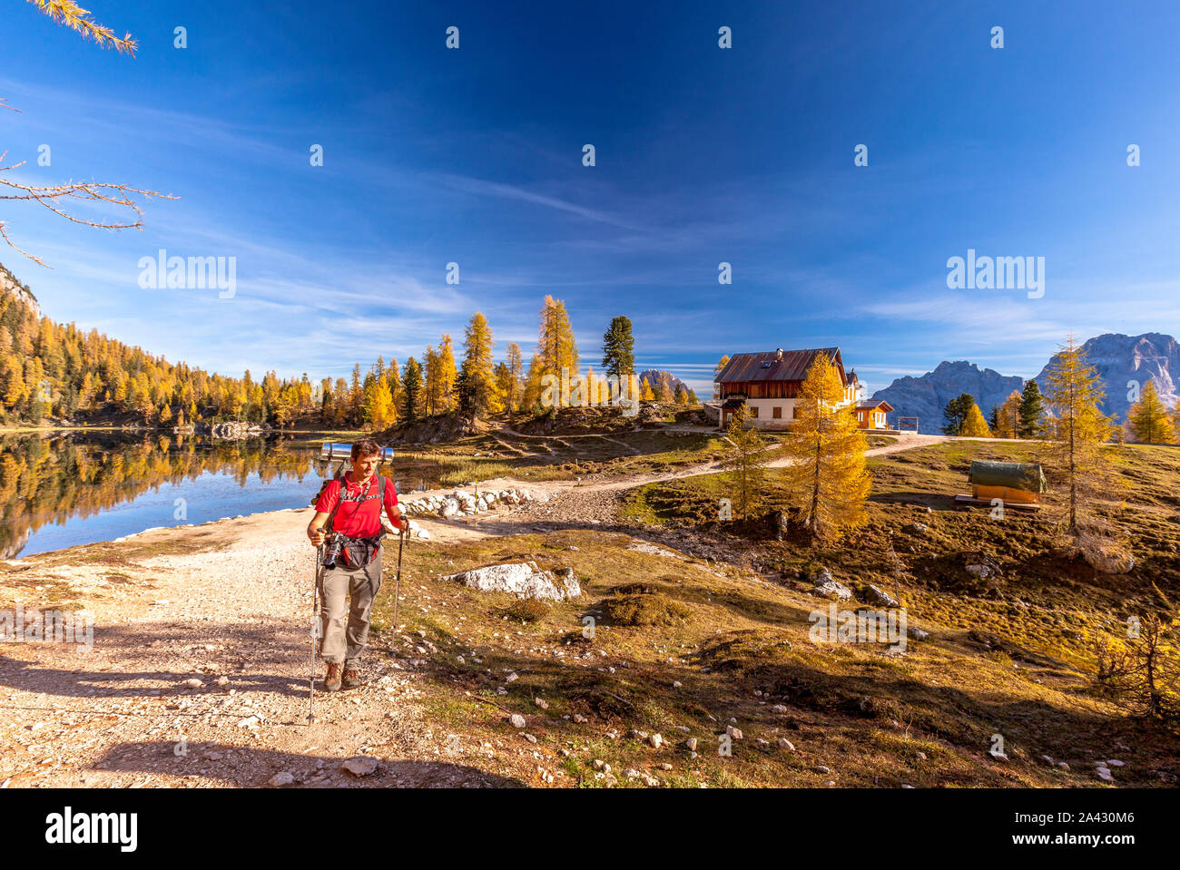 Randonneur sur sentier à Palmieri hut (Croda del Lago) en automne, Dolomites, Cortina d'Ampezzo, Belluno, Veneto, Italie Banque D'Images