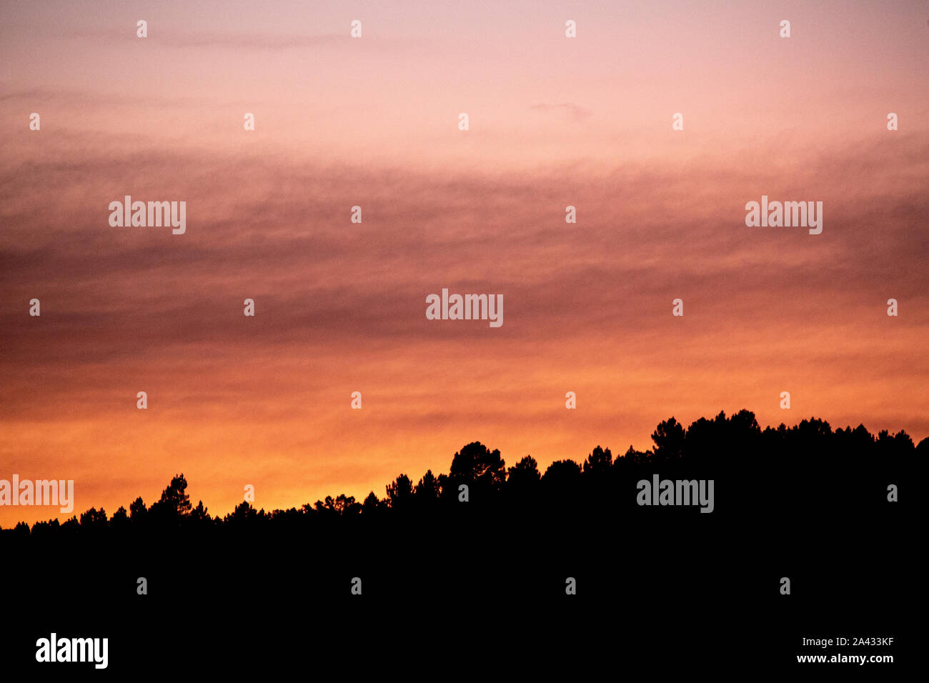 Ciel nuageux au coucher du soleil plus de Forest Banque D'Images