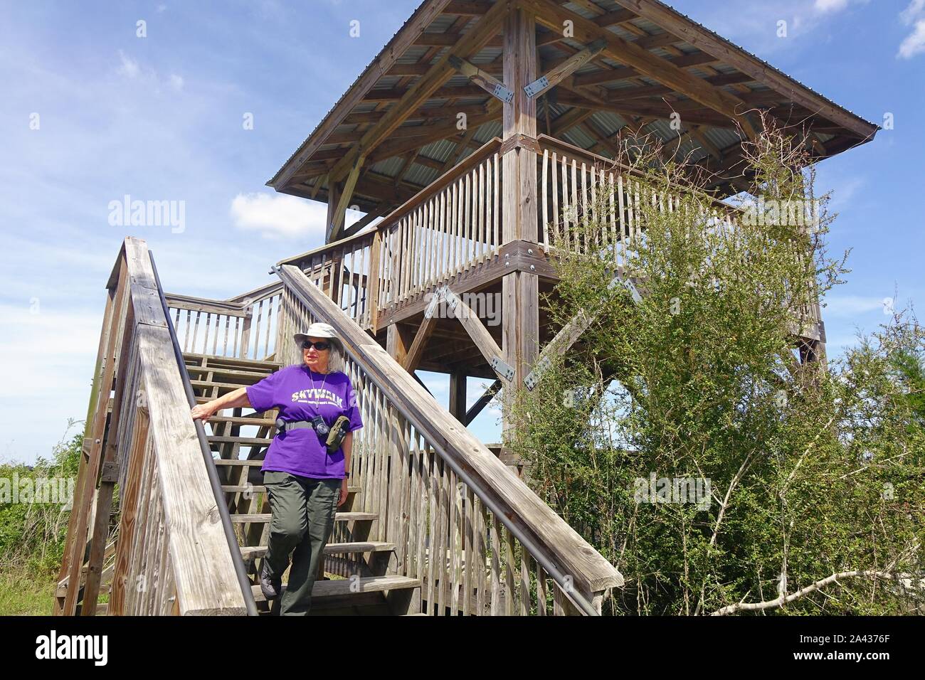 Tour d'observation à salt marsh, Chassahowitzka Wildlife Reserve National Wildlife Refuge, en Floride Banque D'Images