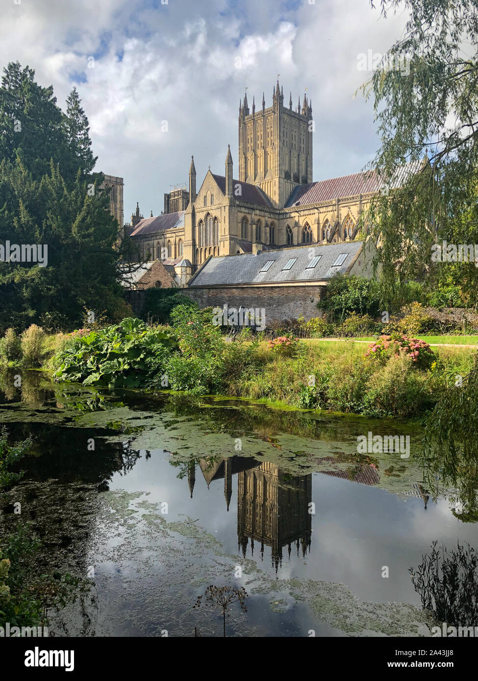 Wells Cathedral et reflétée dans l'Évêché de douves, puits Banque D'Images