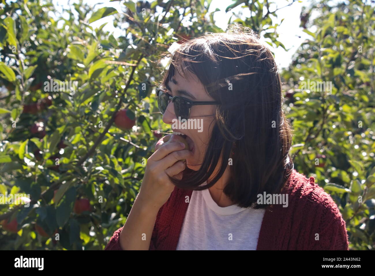 2229, TC / USA - 19 octobre 2017 : Young Asian woman prenant une bouchée d'une pomme juteuse dans le patch apple Banque D'Images