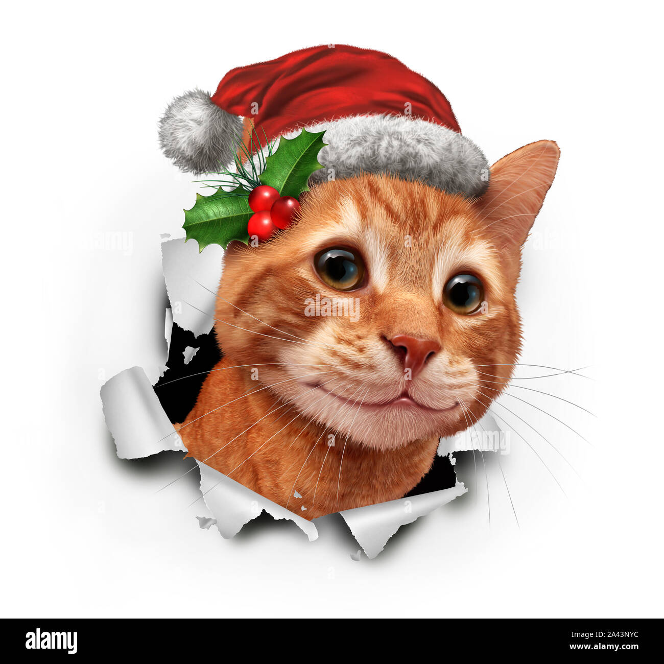 Maison de vacances cat portant un chapeau de Noël rouge éclatant de de papier avec illustration 3D éléments. Banque D'Images