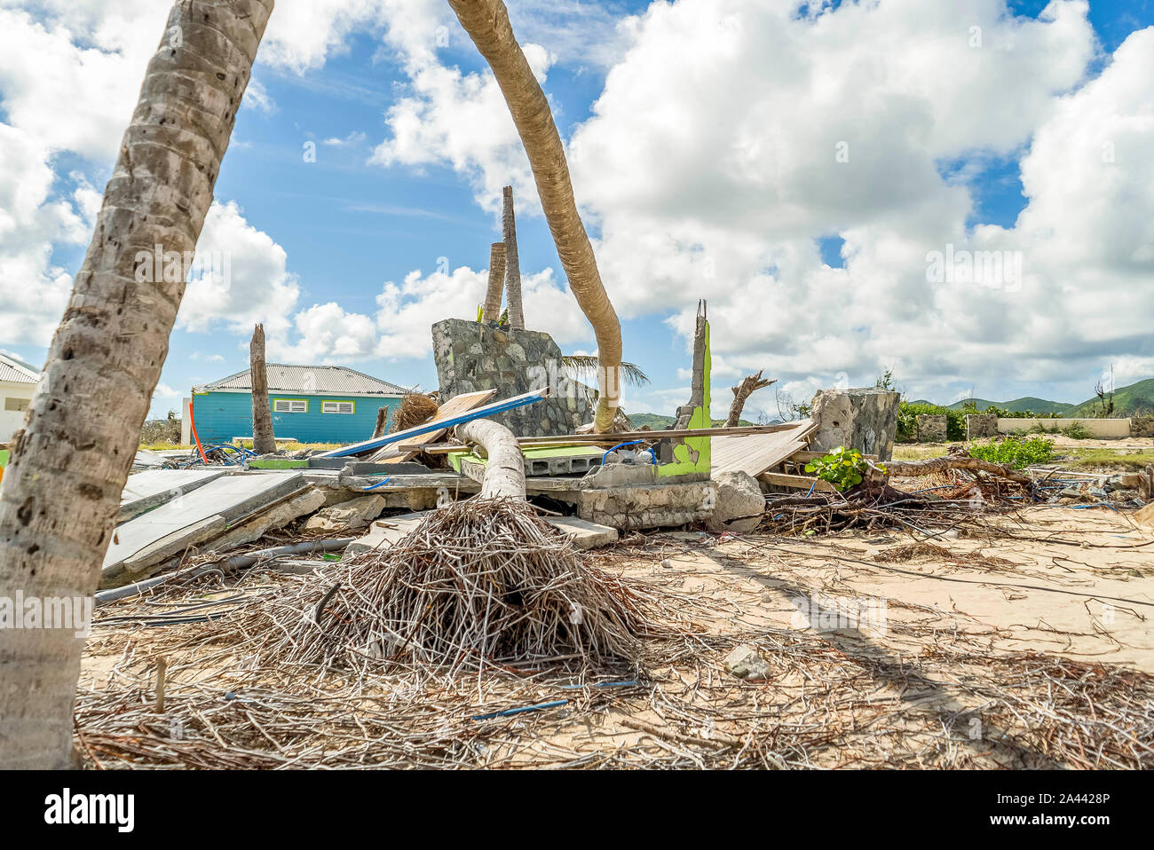 L'ouragan Irma suite à la destruction de certains.St Maarten/soufflage plages terra... des arbres et à déraciner certains sur la plage. Banque D'Images