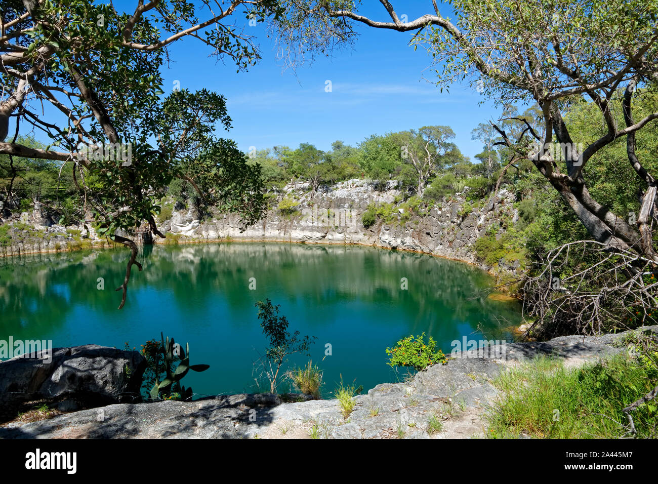 Vue panoramique du lac Otjikoto - un gouffre permanent lac près de Tsumeb en Namibie du Nord Banque D'Images