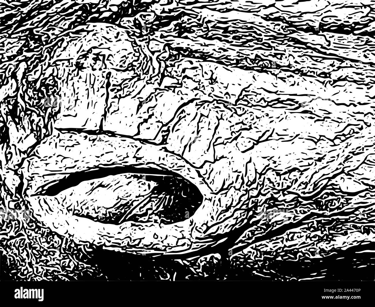 Illustration graphique en noir et blanc. Dessin au crayon d'écorce en arrière-plan gris. Banque D'Images