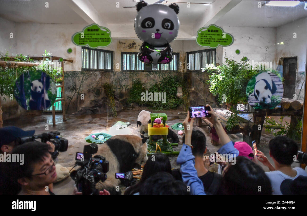 Les visiteurs de prendre des photos ou vidéos de panda géant et Shuanghao Chengjiu frères pendant qu'ils jouissent de pousses de bambou et des gâteaux de glace au cours d'une célébration pour Banque D'Images