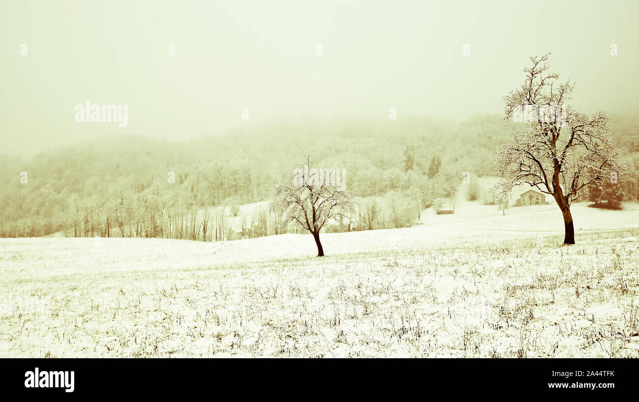 La première neige de l'hiver Banque D'Images