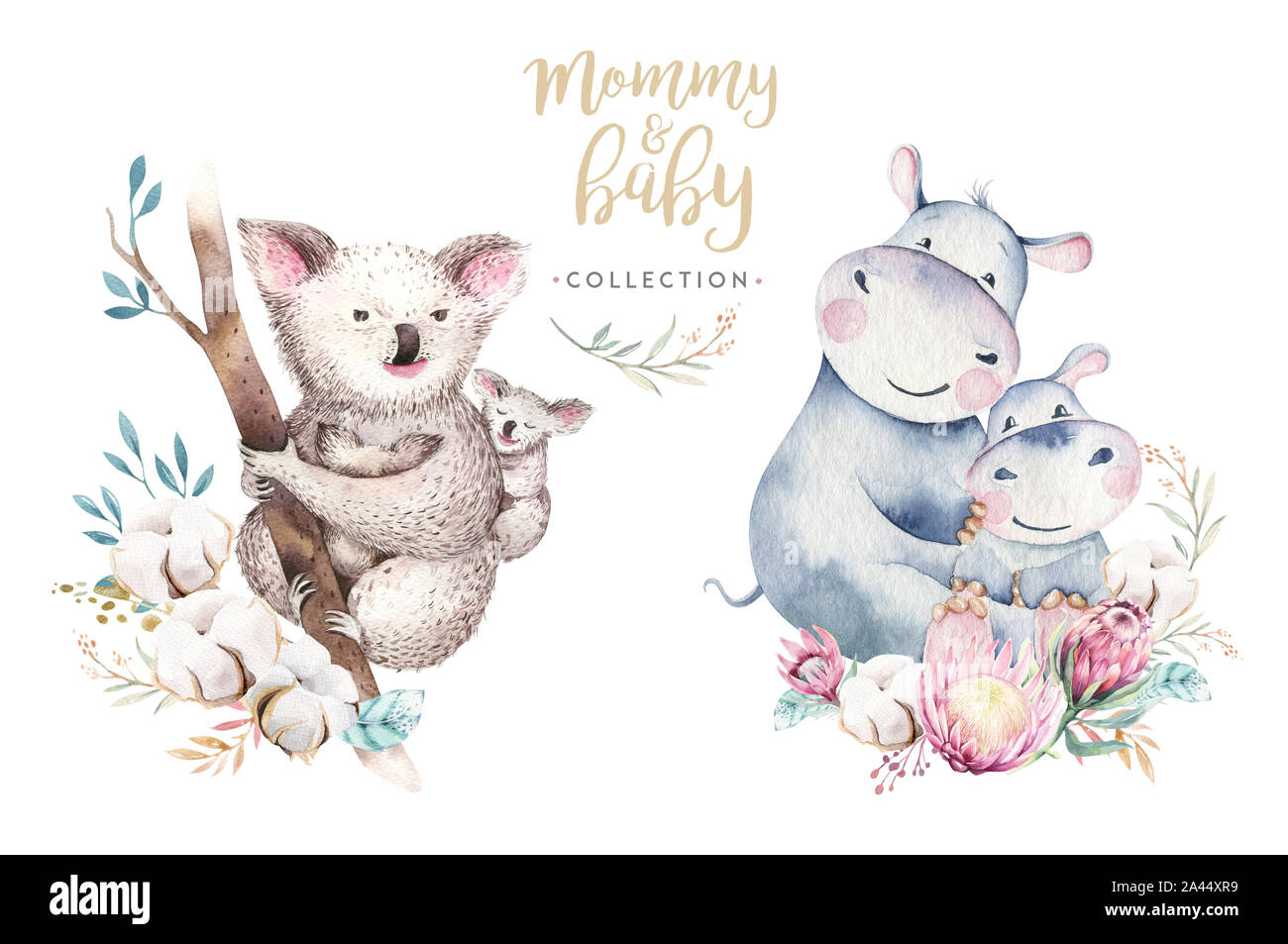 Aquarelle Cute Cartoon Petit Bebe Et Maman Koala Avec Couronne De Fleurs Tropical Isole Illustration La Mere Et L Enfant Design Animaux Famille L Amour Pour Enfants Photo Stock Alamy Aquarelle Cute Cartoon Petit Bebe Et Maman Koala Avec Couronne De Fleurs Tropical Isole Illustration La Mere Et L Enfant Design Animaux Famille L Amour Pour Enfants Photo Stock Alamy