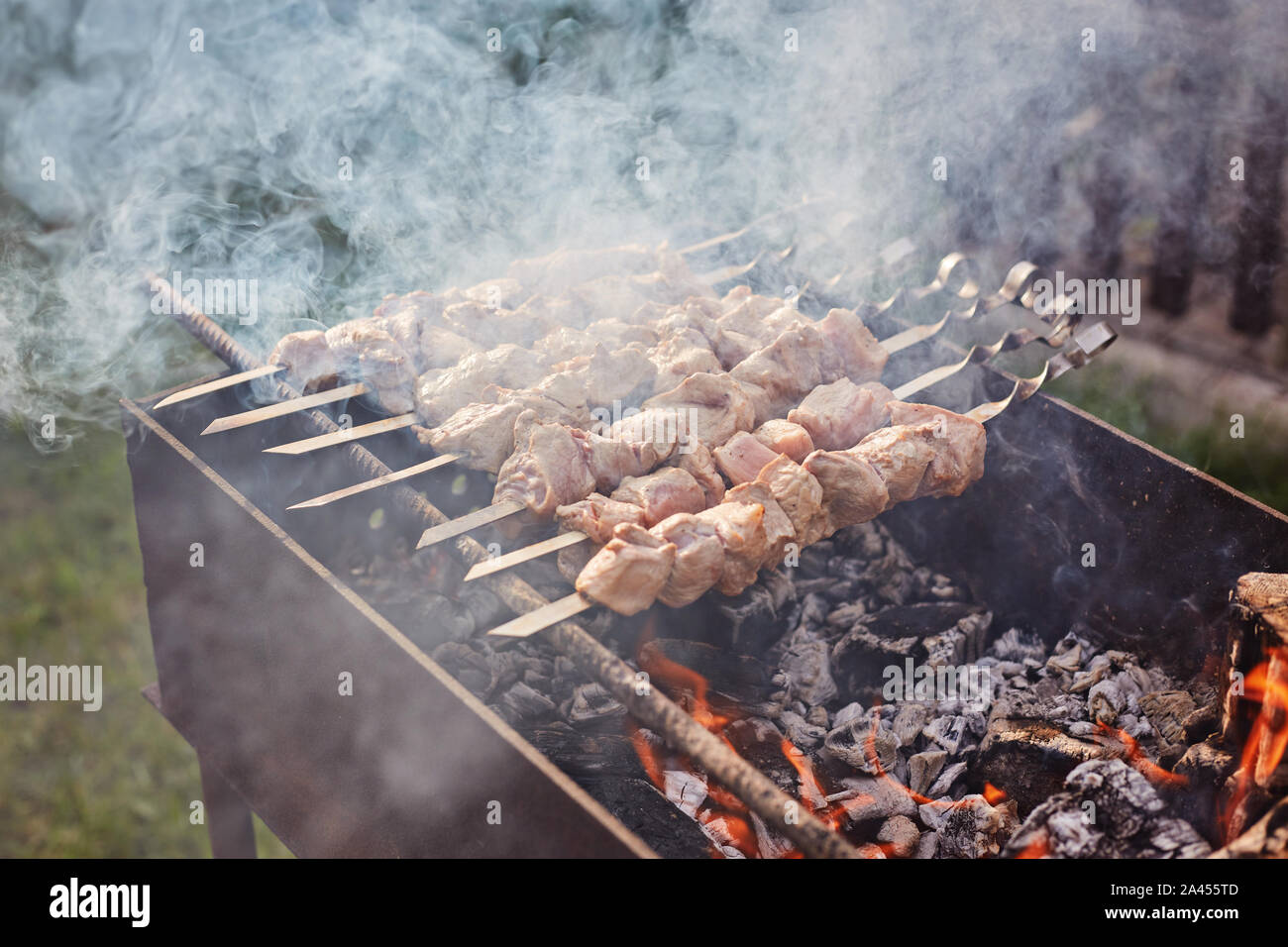 La cuisson des brochettes sur le mangal dans la nature Banque D'Images