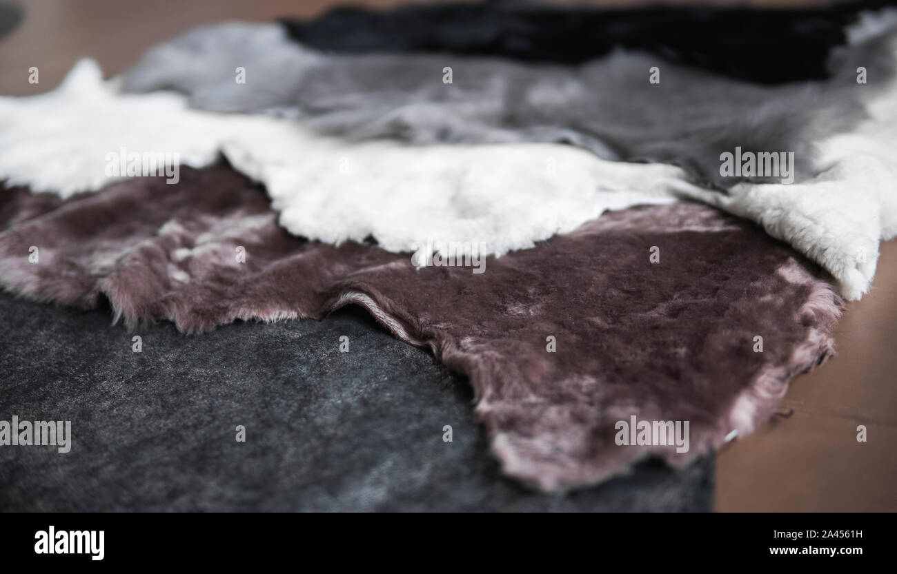 Morceaux de fourrure solides de différentes couleurs pour l'utilisation dans des chaussures confortables et chaleureux à coudre dans une usine de chaussures Banque D'Images