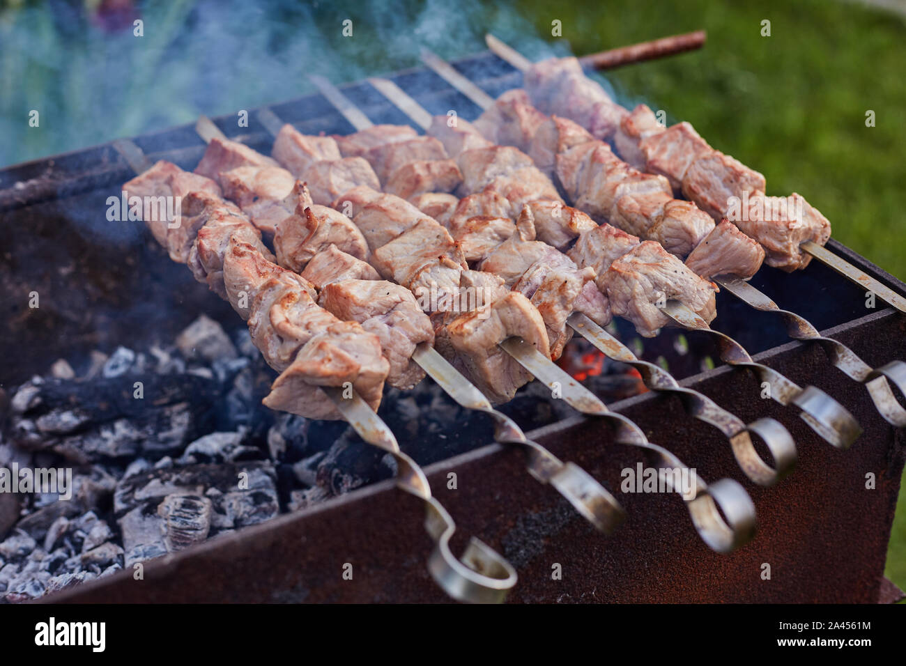 La cuisson des brochettes sur le mangal dans la nature Banque D'Images