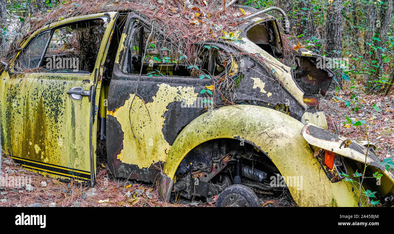 Un vieux Bug jaune abandonné dans les bois Banque D'Images