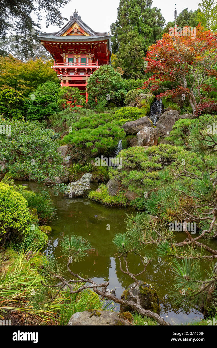 Jardin de thé japonais dans le Golden Gate Park, San Francisco, Californie. Banque D'Images