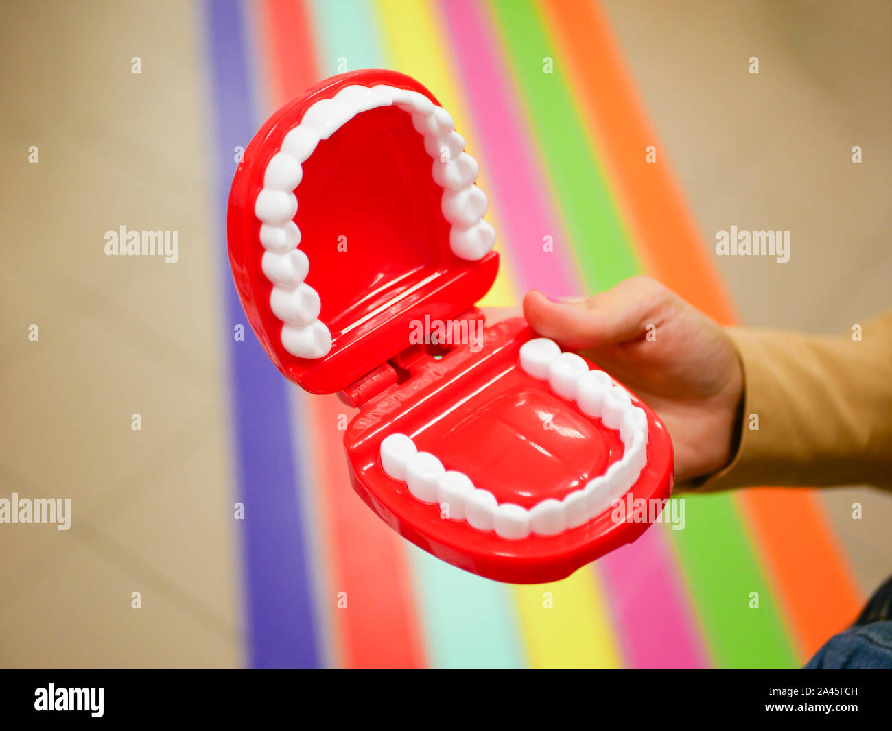 Présentation de la mâchoire humaine. Jouet de la mâchoire. Mise en page pour démontrer la mâchoire pour étudiants en médecine dentaire. maman montre la mâchoire pour l'enfant. Banque D'Images