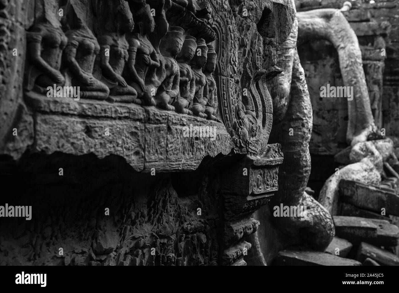 Ta Prohm temple (temple) tombe Rider à Angkor, Cambodge Banque D'Images