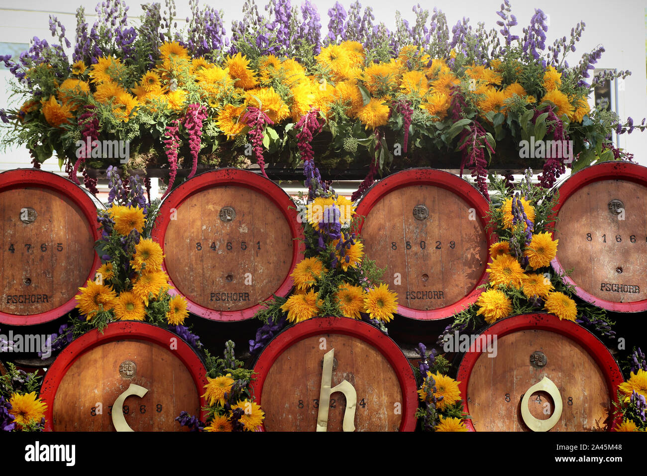 MUNICH, ALLEMAGNE - le 22 septembre 2019 Grande entrée de l'Oktoberfest, les locateurs et les brasseries, parade festive de magnifiques voitures décorées et ban Banque D'Images